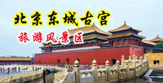 强奸动态图中国北京-东城古宫旅游风景区